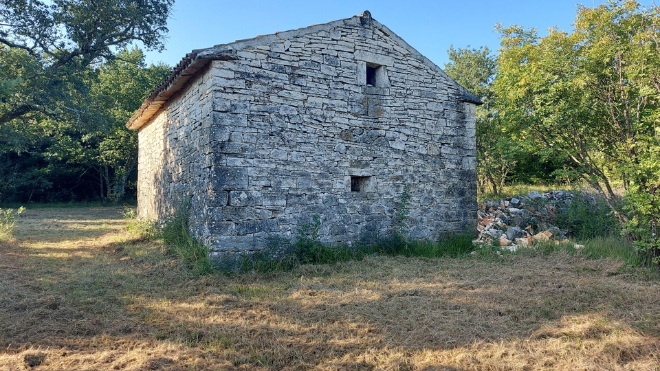 Tolle Gelegenheit, wir verkaufen den ganzen Hügel mit Blick auf das Meer und mit einem kleinen Stein  Haus in der Nähe von Rovinj