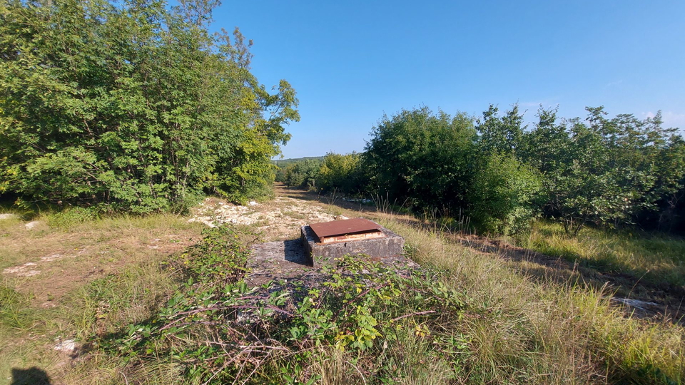 Grande opportunità, vendiamo l'intera collina con vista sul mare e con una piccola casa in pietra vicino a Rovigno