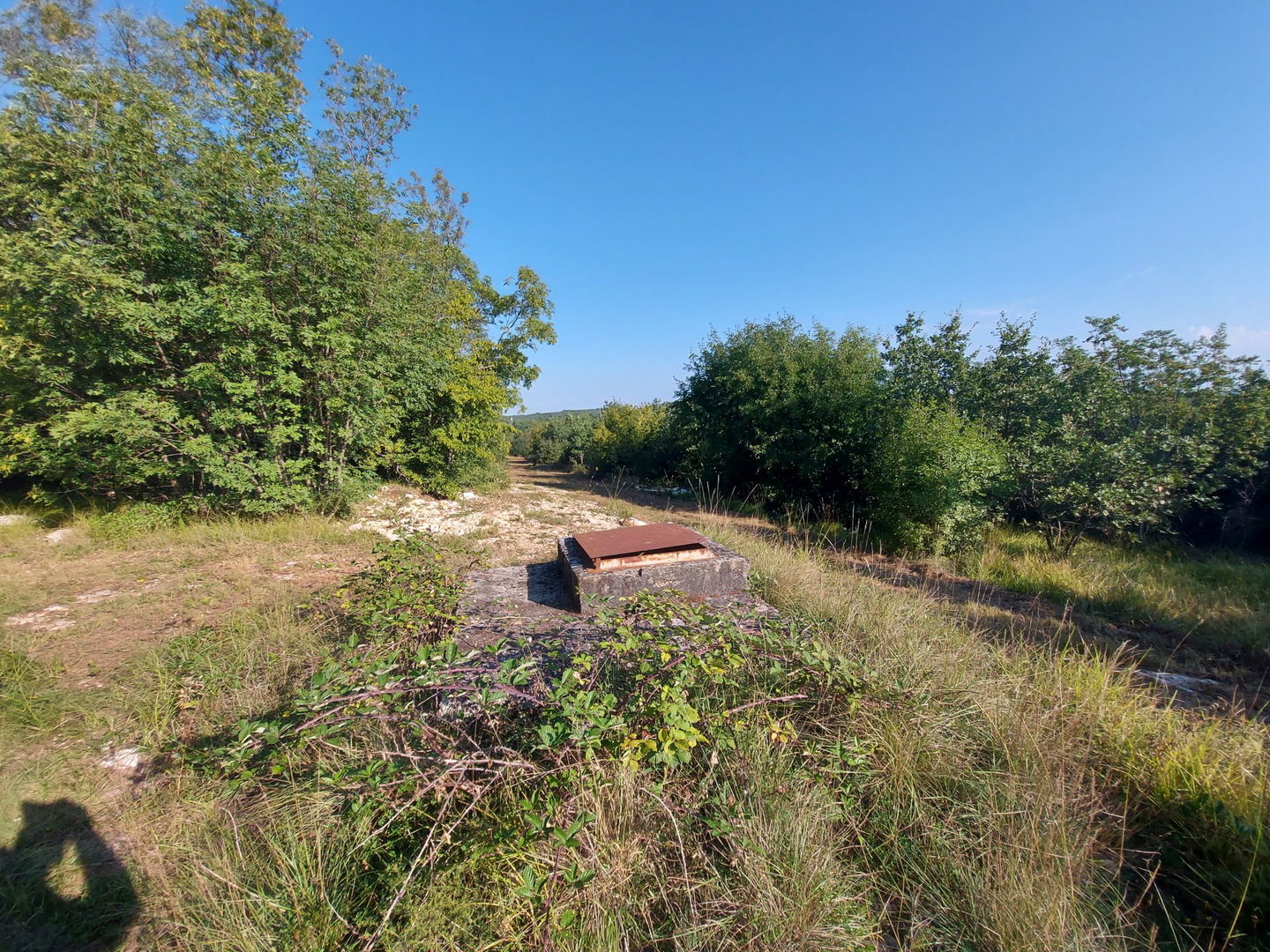 Odlična prilika ,prodajemo cijelo brdo s pogledom na more i s malom kamenom kućicom u blizini Rovinja