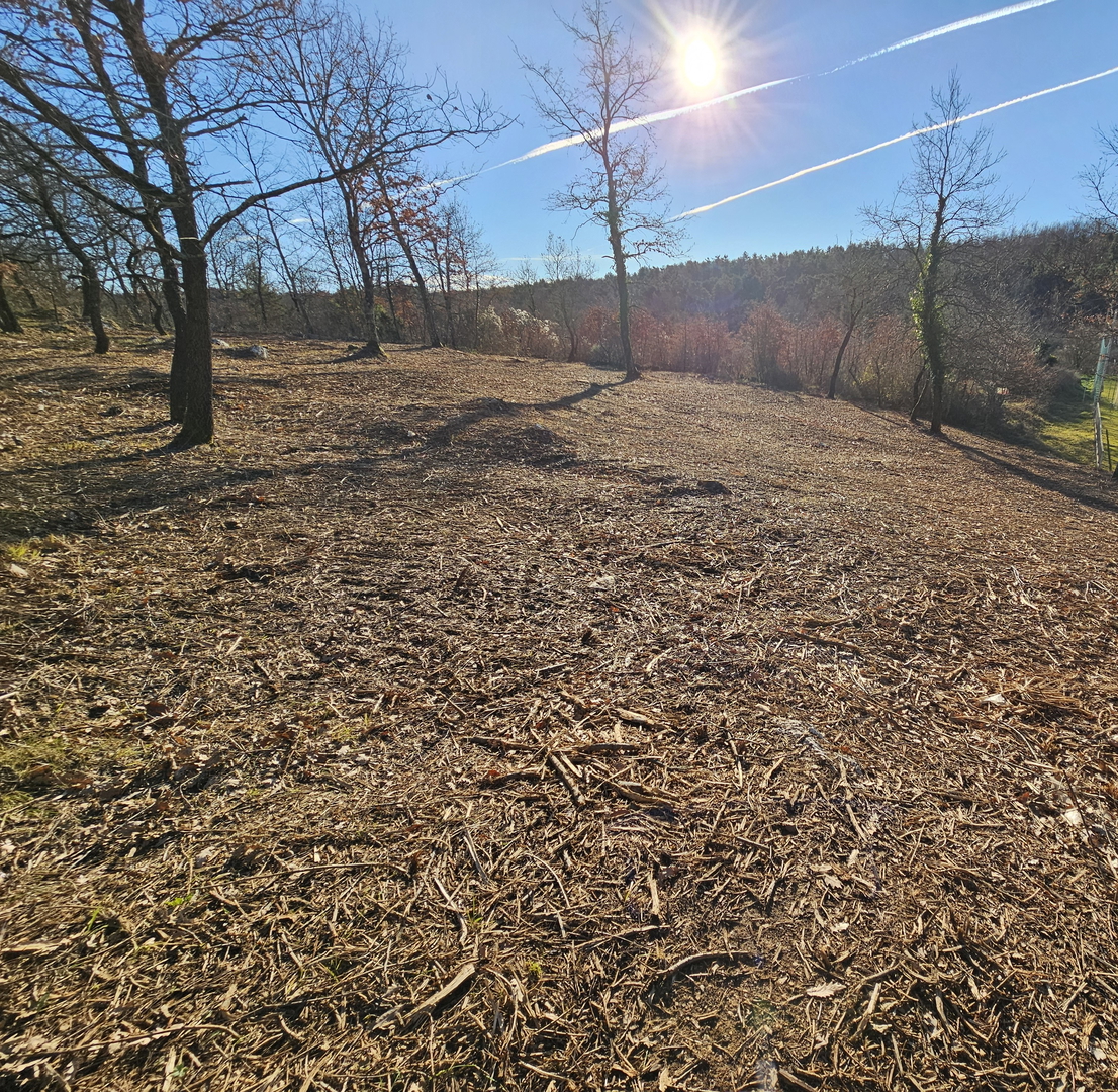 Construction land in the vicinity of Buje near the Slovenian border