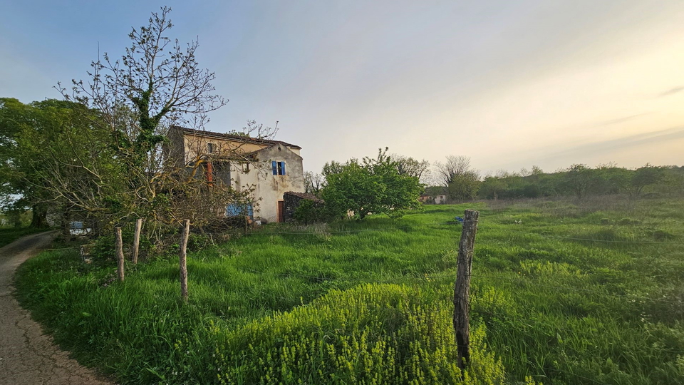 Šarmantna istarska kamena kuća  s otvorenim pogledom i velikim terenom