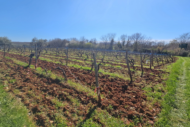 Terreno agricolo vicino a Karigador, a soli 2,5 km dal mare e dalla spiaggia