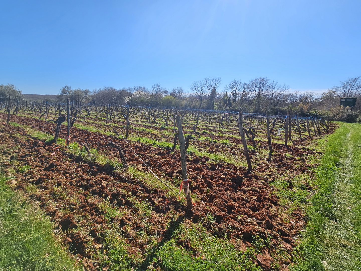 Agricultural land near Karigador, only 2.5 km from the sea and the beach