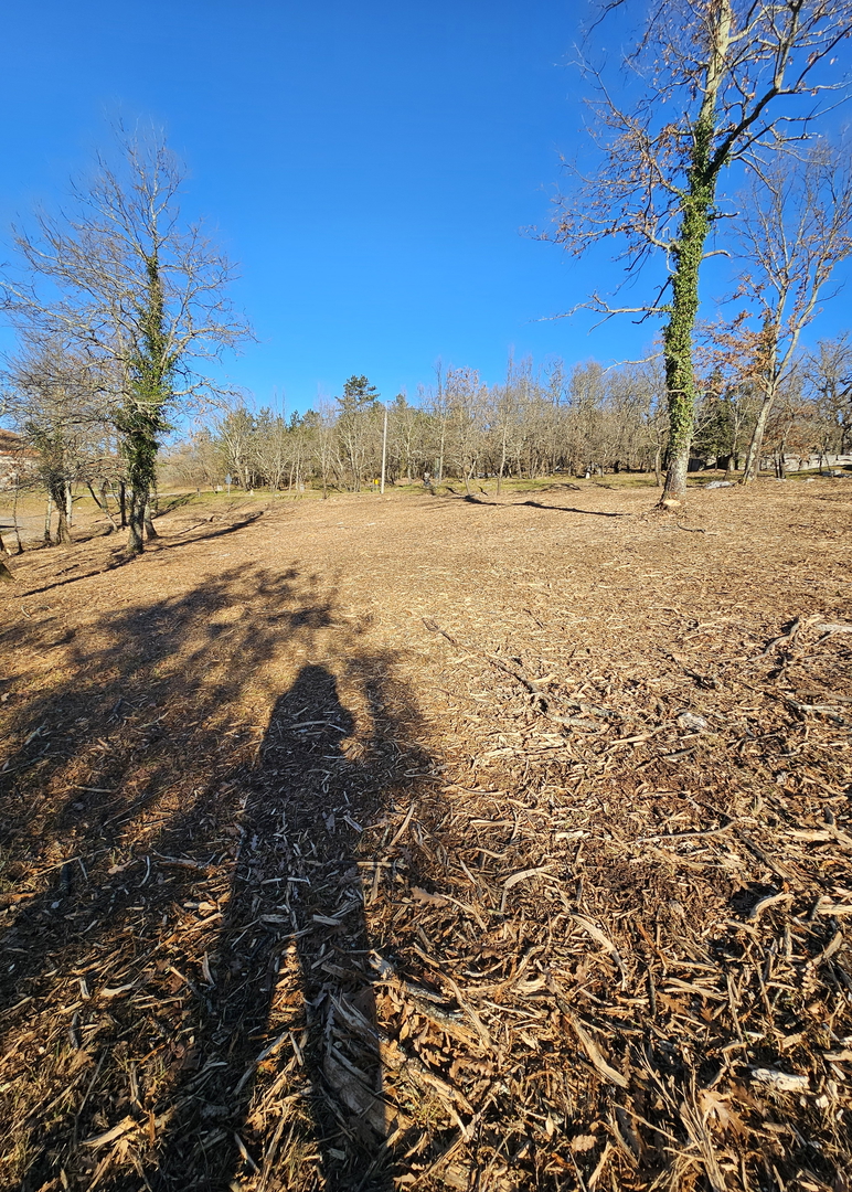 Construction land in the vicinity of Buje near the Slovenian border
