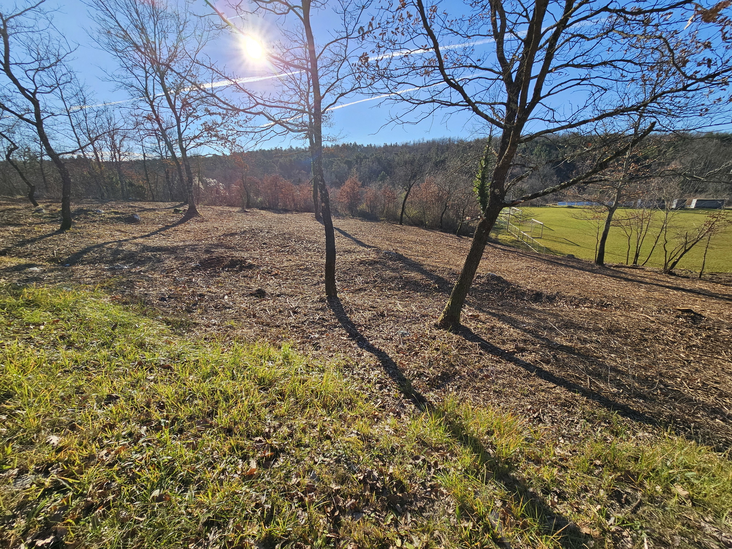 Construction land in the vicinity of Buje near the Slovenian border