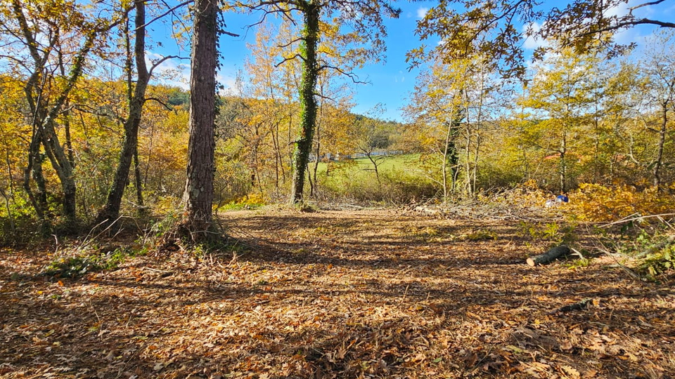 Construction land in the vicinity of Buje near the Slovenian border