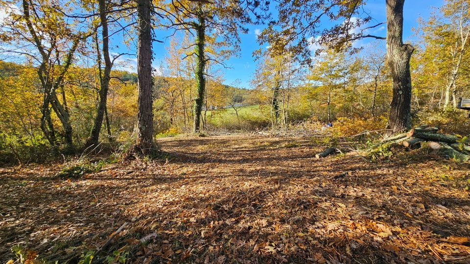 Construction land in the vicinity of Buje near the Slovenian border
