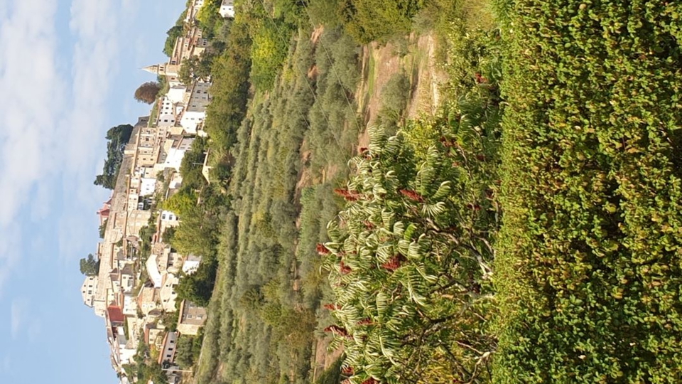 BUILDING PLOT NEAR MOTOVUN