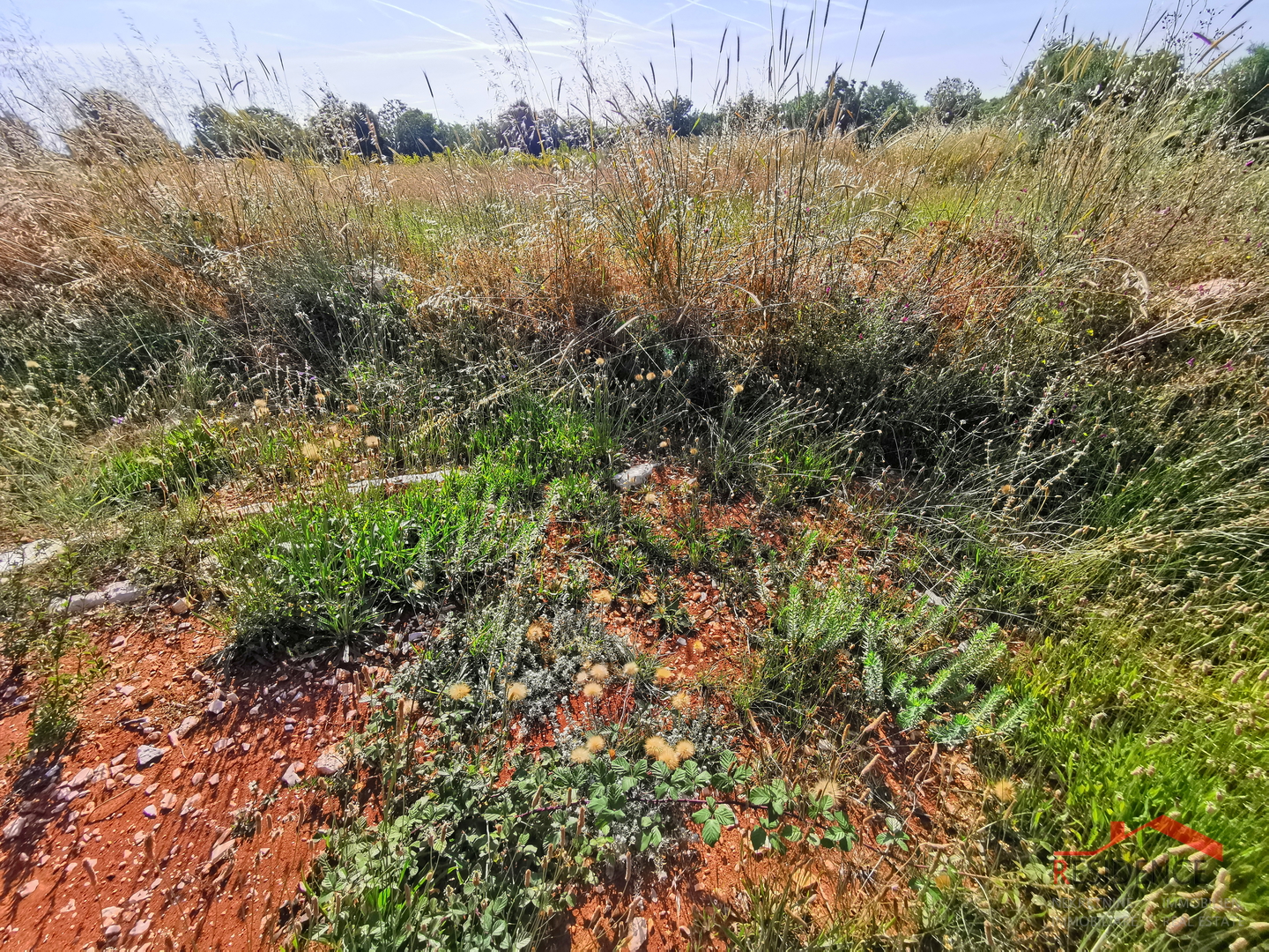 Ližnjan, Šišan, Ackerland