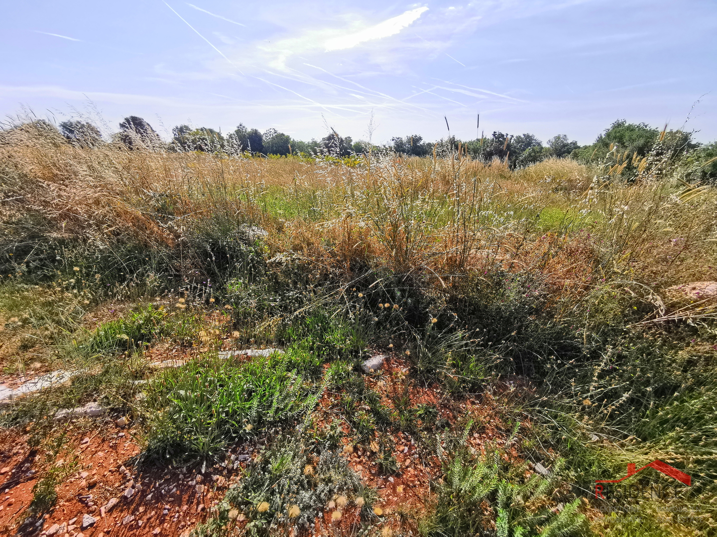 Ližnjan, Šišan, Ackerland