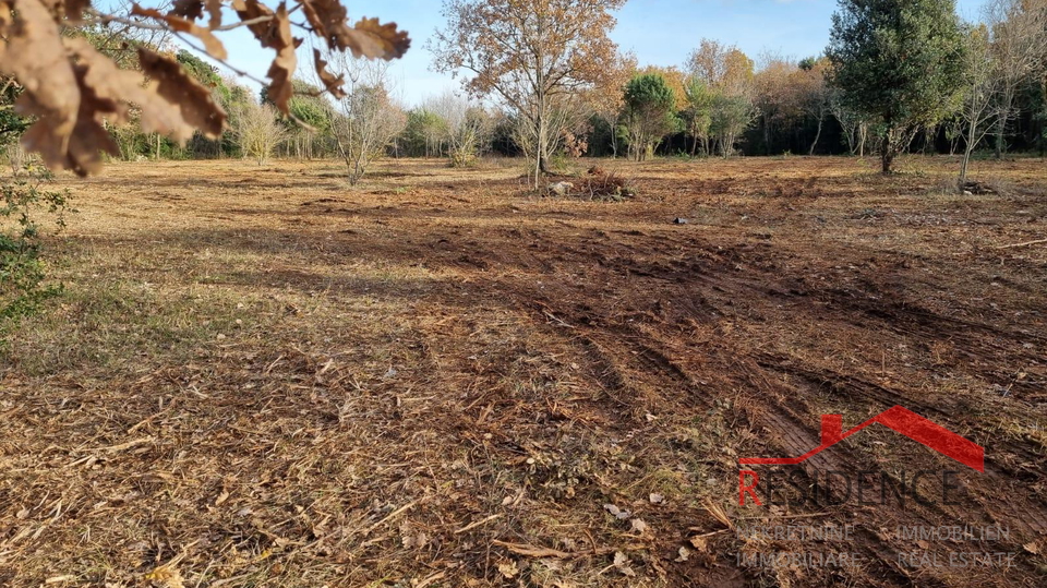 Land, 6292 m2, For Sale, Rovinj