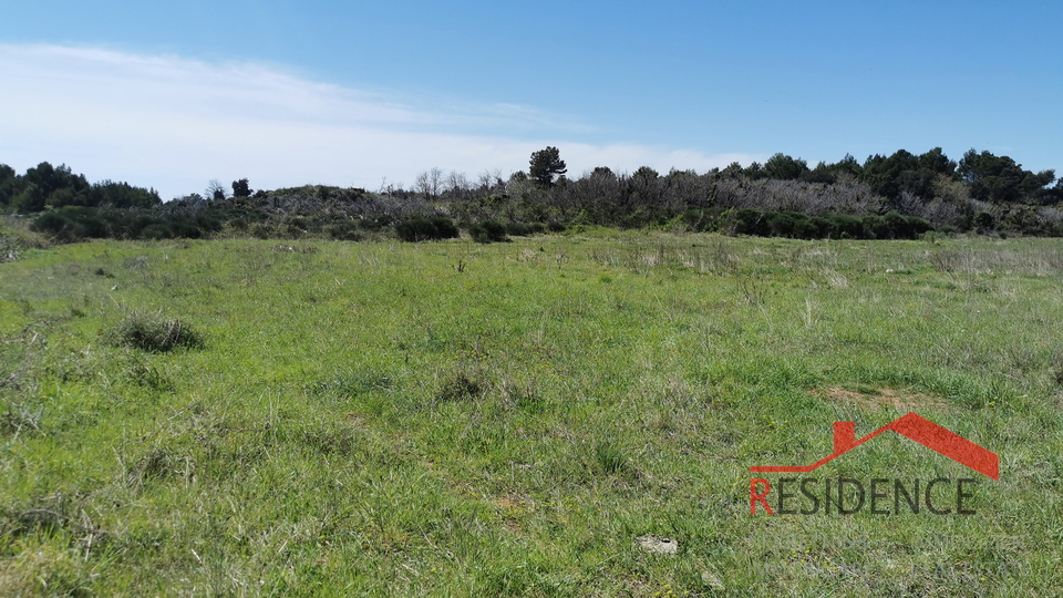 Lisignano, terreno agricolo