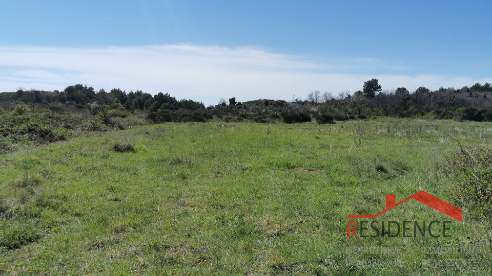 Lisignano, terreno agricolo