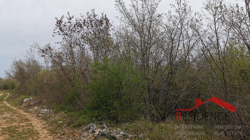 Land, 7000 m2, For Sale, Vodnjan