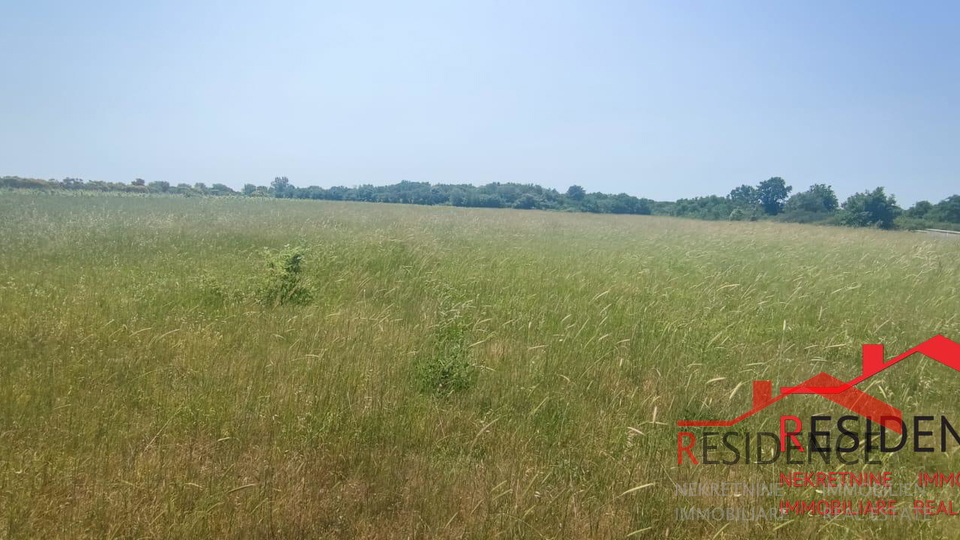 Land, 13434 m2, For Sale, Ližnjan - Šišan