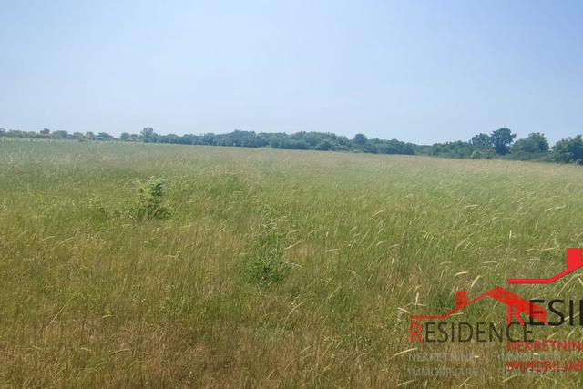 Land, 13434 m2, For Sale, Ližnjan - Šišan