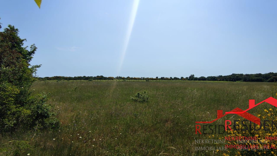 Land, 13434 m2, For Sale, Ližnjan - Šišan