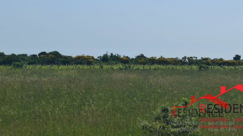 Land, 13434 m2, For Sale, Ližnjan - Šišan