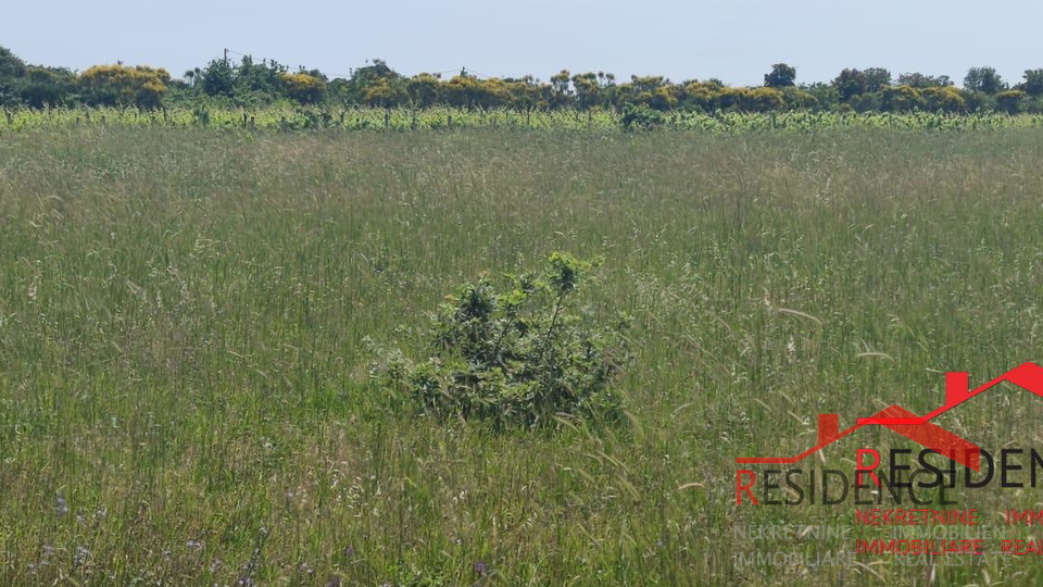 Land, 13434 m2, For Sale, Ližnjan - Šišan