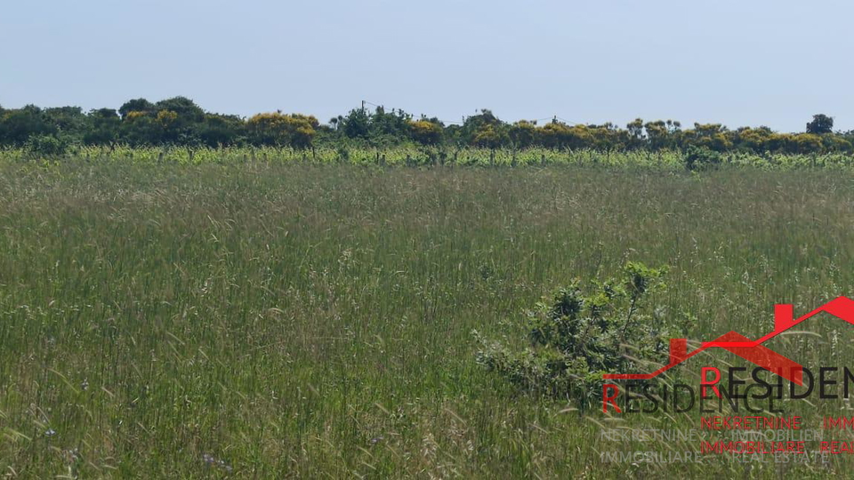 Land, 13434 m2, For Sale, Ližnjan - Šišan