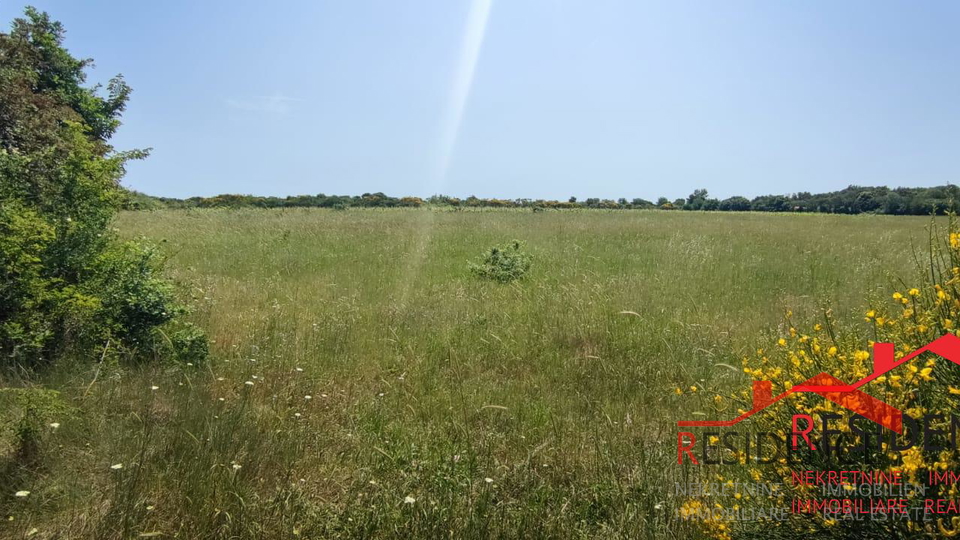 Land, 13434 m2, For Sale, Ližnjan - Šišan