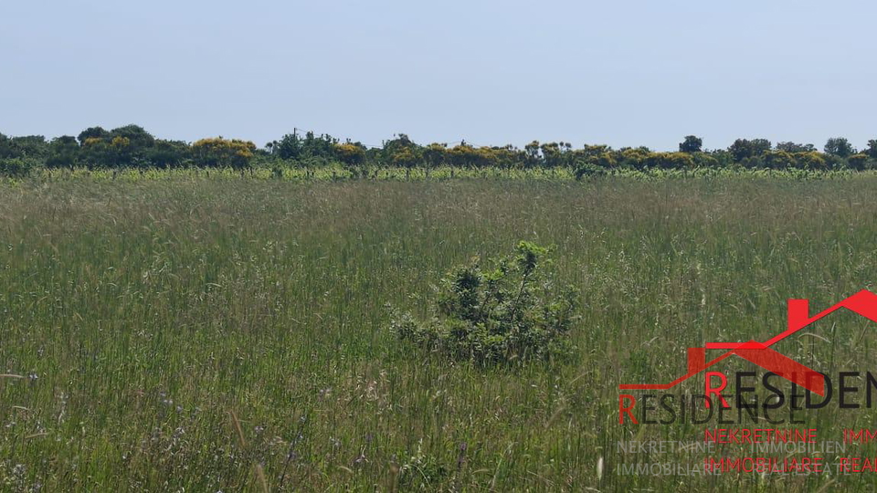 Land, 13434 m2, For Sale, Ližnjan - Šišan