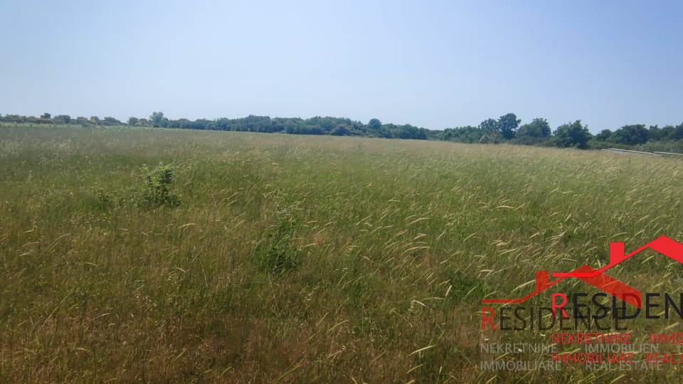 Land, 13434 m2, For Sale, Ližnjan - Šišan