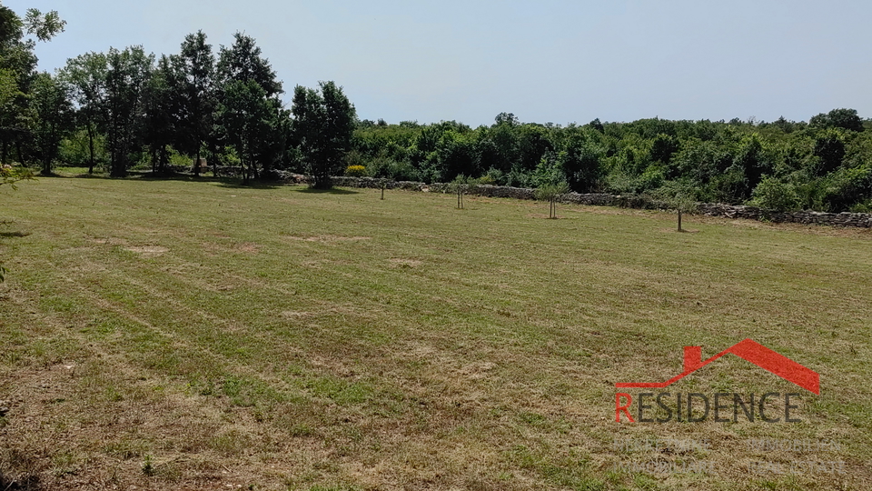 Bale, a beautiful olive grove with a view of the sea