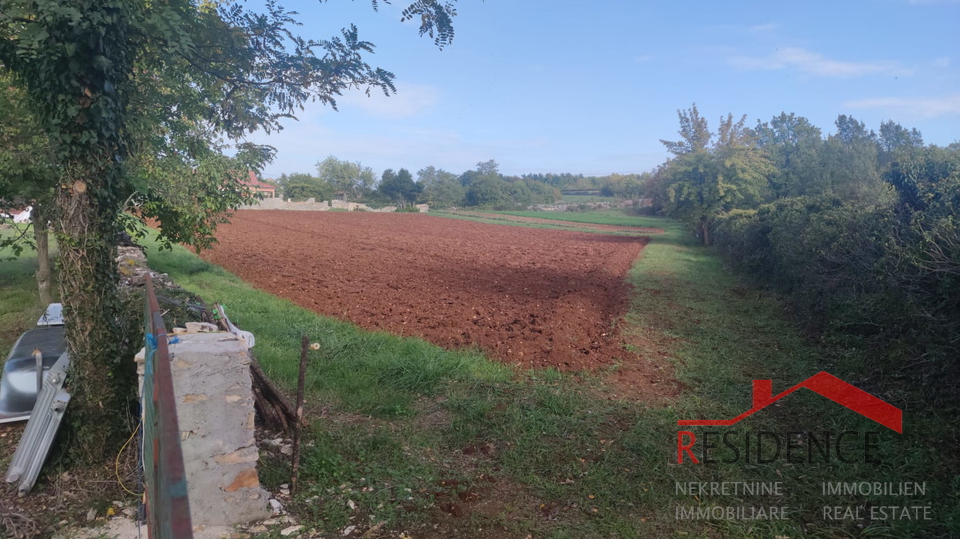 Land, 3878 m2, For Sale, Žminj - Pifari