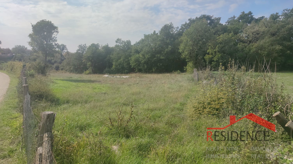 Land, 8412 m2, For Sale, Kanfanar - Mrgani