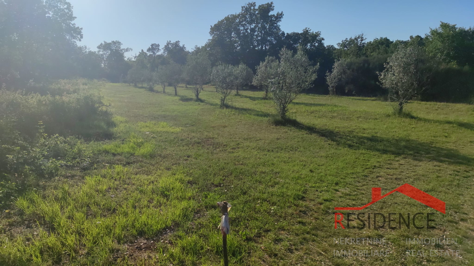 Peroj, agricultural land, water