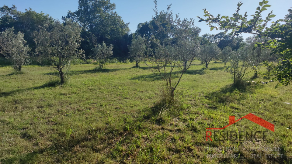 Peroj, agricultural land, water