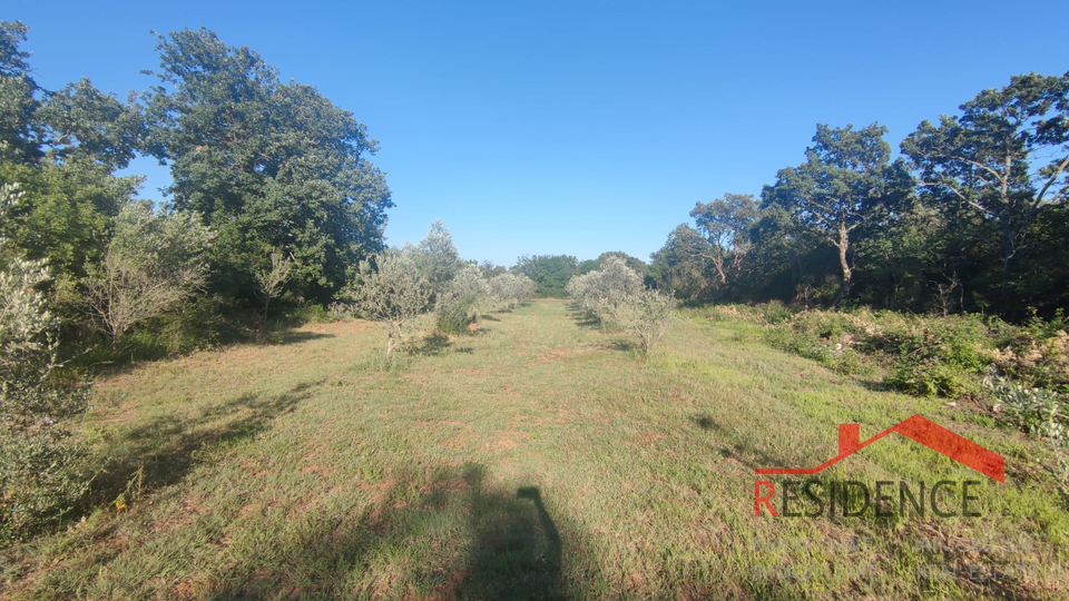 Peroj, agricultural land, water