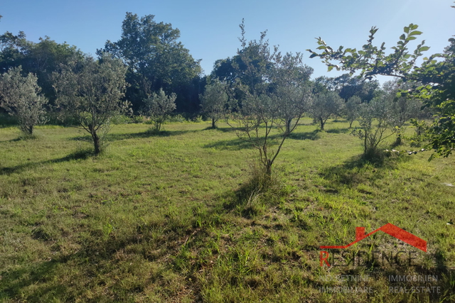 Peroj, agricultural land, water