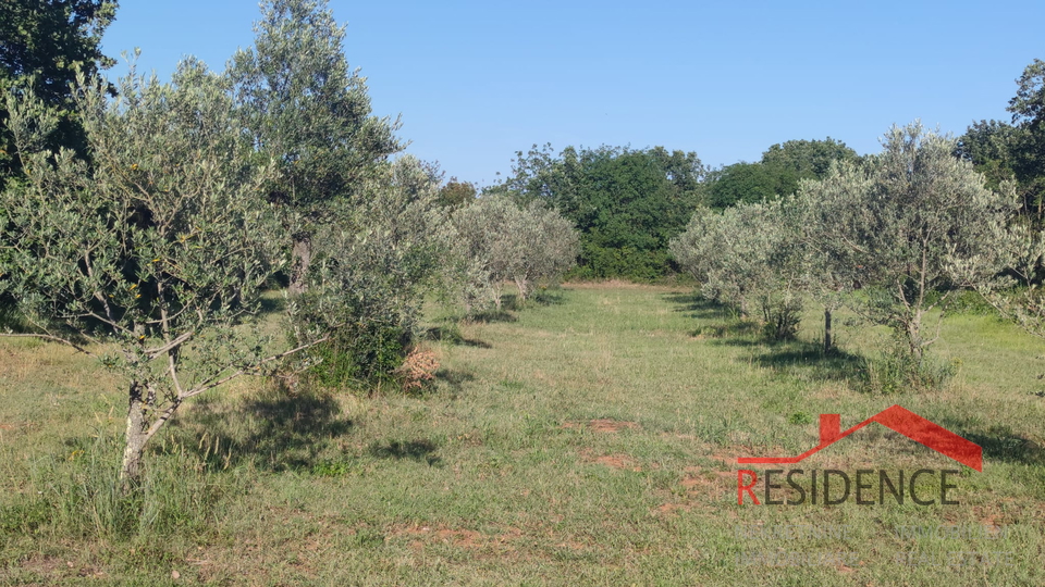 Peroj, agricultural land, water