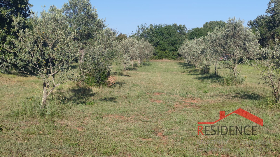 Peroj, agricultural land, water