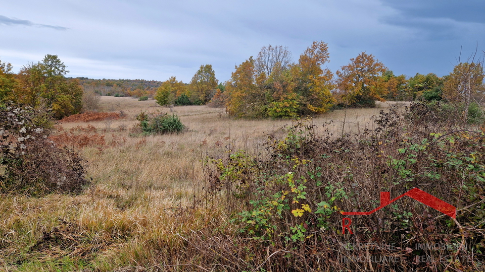 Land, 7028 m2, For Sale, Svetvinčenat - Bokordići