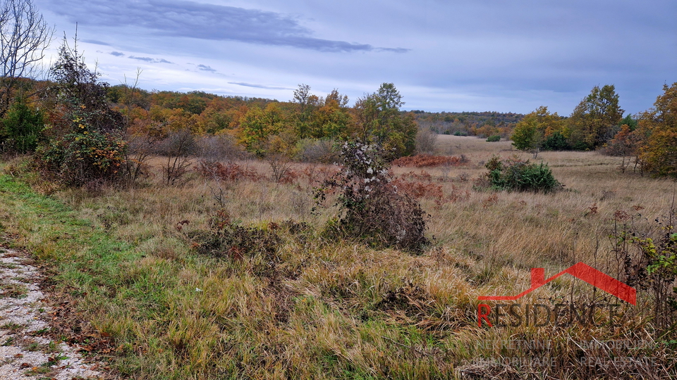 Land, 7028 m2, For Sale, Svetvinčenat - Bokordići