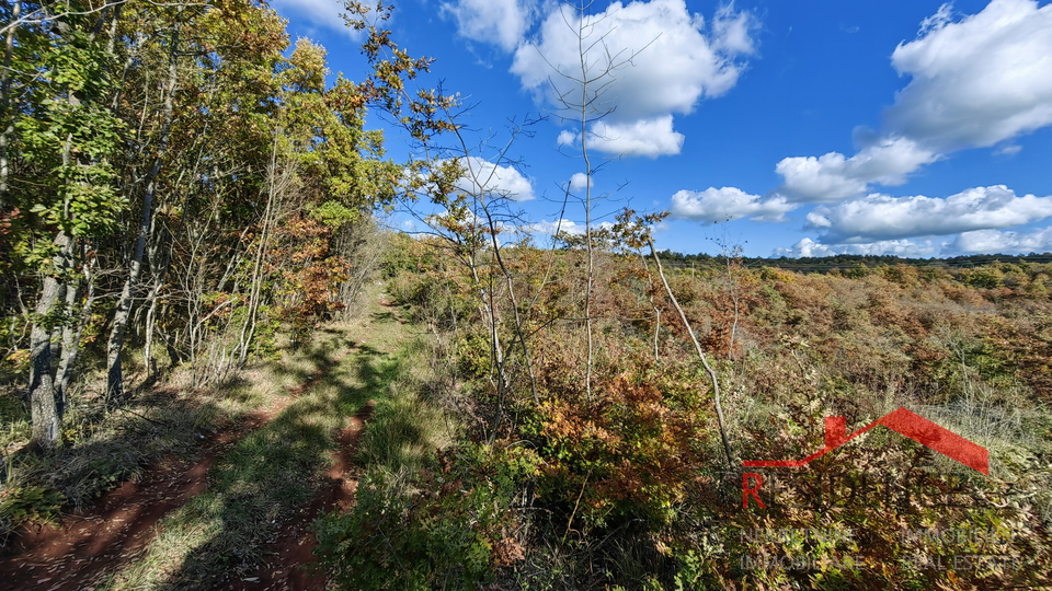 Svetvinčenat - surrounding are, agricultural land