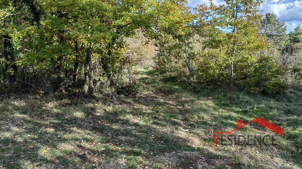 Svetvinčenat - surrounding are, agricultural land