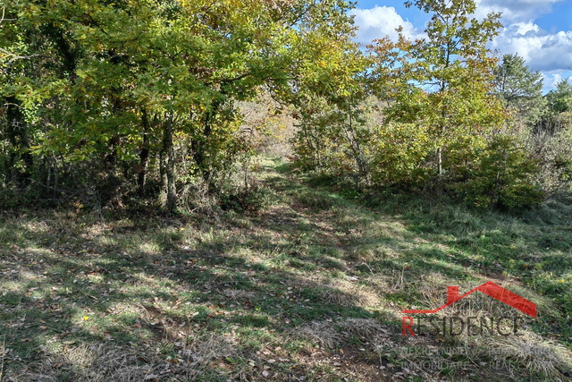 Svetvinčenat - okolica, veliko poljoprivredno zemljište