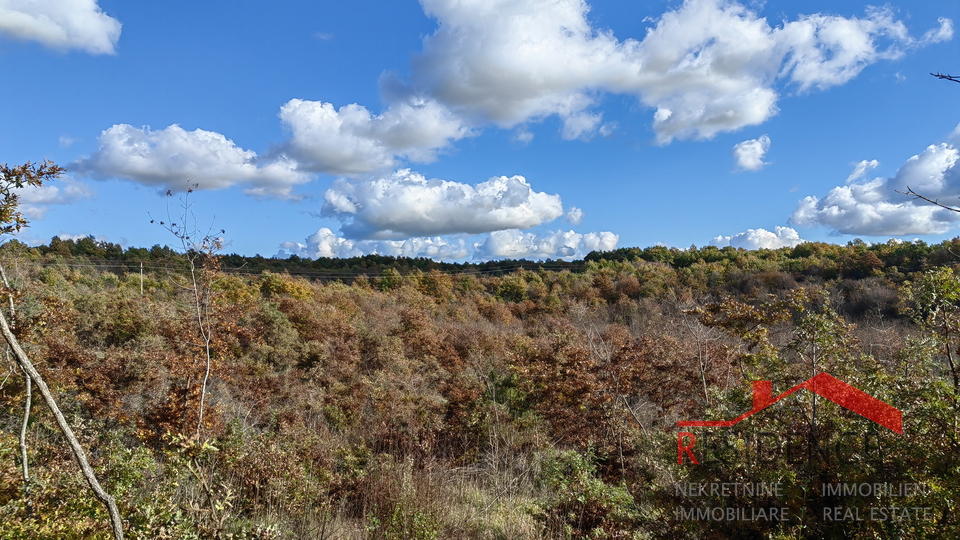 Land, 45208 m2, For Sale, Svetvinčenat