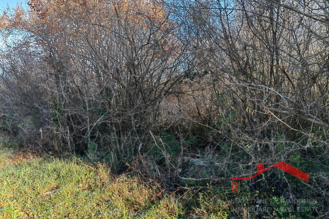 Gradina, neurbanizirano zemljište