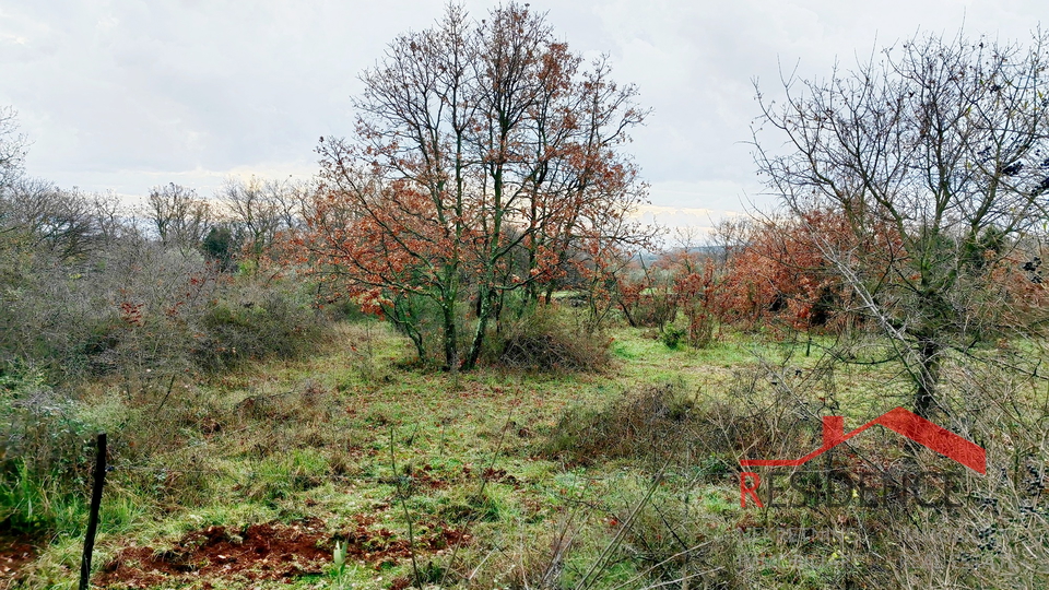 Peruški, Building and agricultural land in one piece