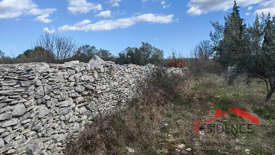 Vodnjan-Majmajola, maslinik s ruševinom i kažunom