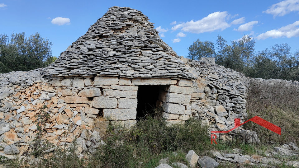 Vodnjan-Majmajola, maslinik s ruševinom i kažunom