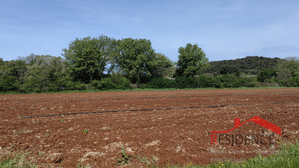 Vinkuran, terreno agricolo