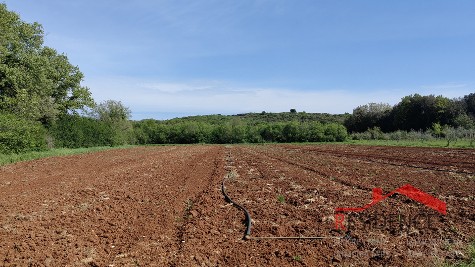 Vinkuran, terreno agricolo