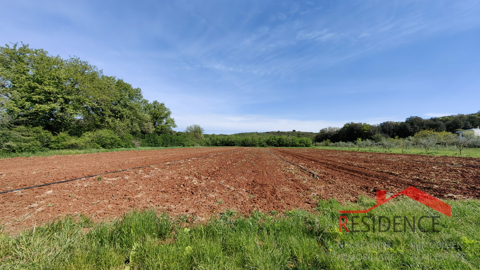 Vinkuran, terreno agricolo