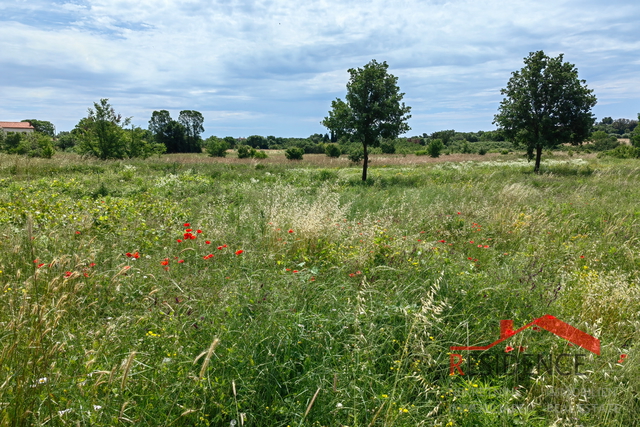 PULA- VELI VRH, BUILDING LAND